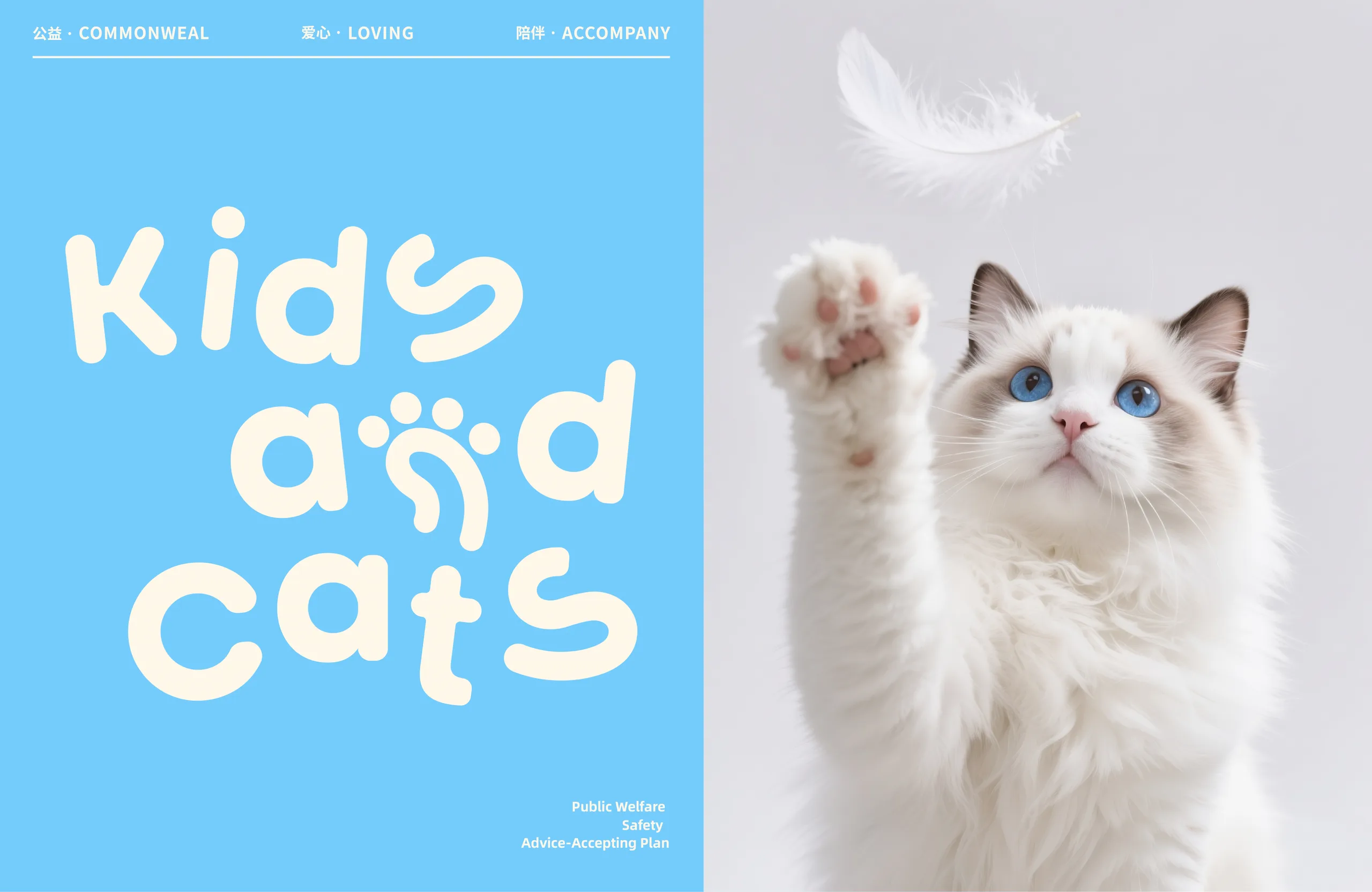 小孩儿和猫品牌概念与猫咪主视觉